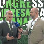 Mais de 6 mil pessoas participam da 1ª Corrida de Rua da Assembleia Legislativa do Paraná